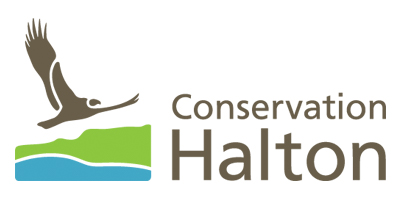 silver_halton silver_halton
