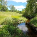 March 22nd, 2023 @ 12:30 CT: Winnipeg SYP World Water Day Panel