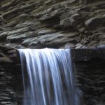 May 21, 2026: BC Branch: AGM + Special Speaker