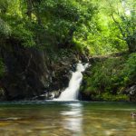 June 7, 2026: SYP: AGM