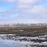 May 6, 2026: MB Branch: AGM and Luncheon