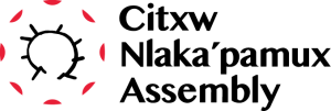cna_logo_stacked_ltred_black_rgb cna_logo_stacked_ltred_black_rgb